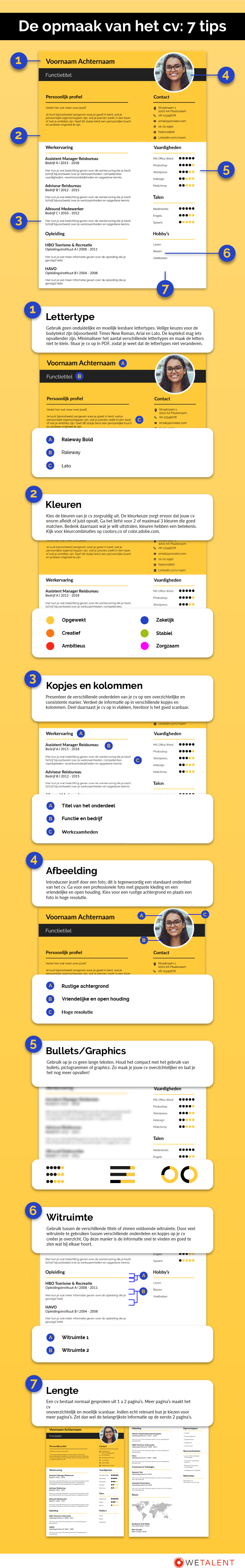 Infographic opmaak cv