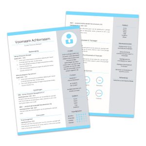 00-artbords-wetalent-gratis-premium-cv-template-template-name-card-small-portrait-3.jpg