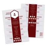 Premium cv template Bordeaux