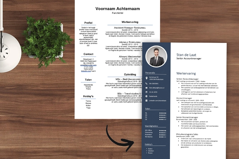cv-metamorfose